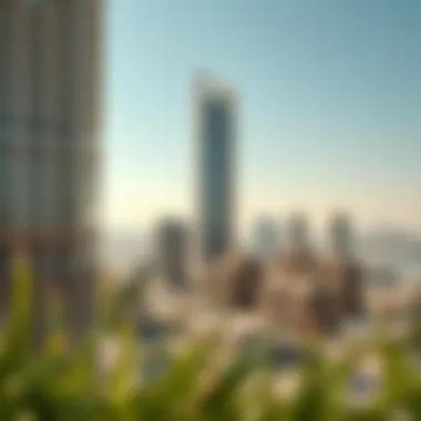 Surrounding community and urban landscape around Alreem Tower