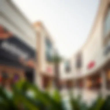 Diverse Retail Offerings at Avenue Mall Diverse retail shops within Avenue Mall featuring high-end brands