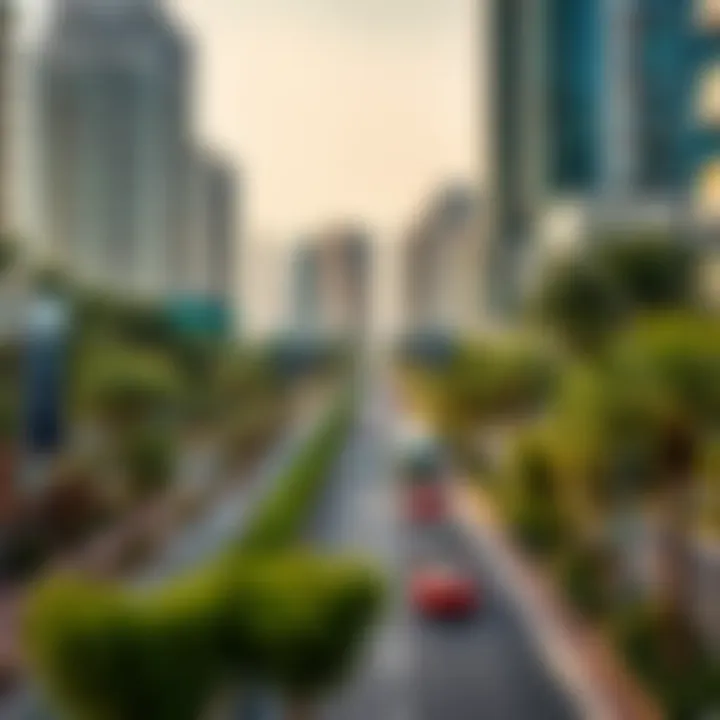 Scenic view of Jumeirah Beach Road lined with lush greenery and vibrant lifestyle offerings
