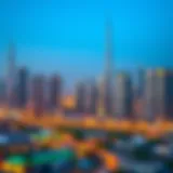 A panoramic view of Dubai's skyline showcasing architectural diversity