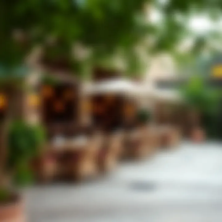 An inviting outdoor dining setting at a popular Al Quoz restaurant surrounded by greenery.
